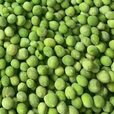 Frozen Vegetables Frozen IQF Green Peas