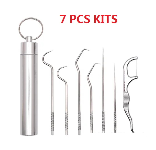 Portable dental care stainless easy take away steel toothpick