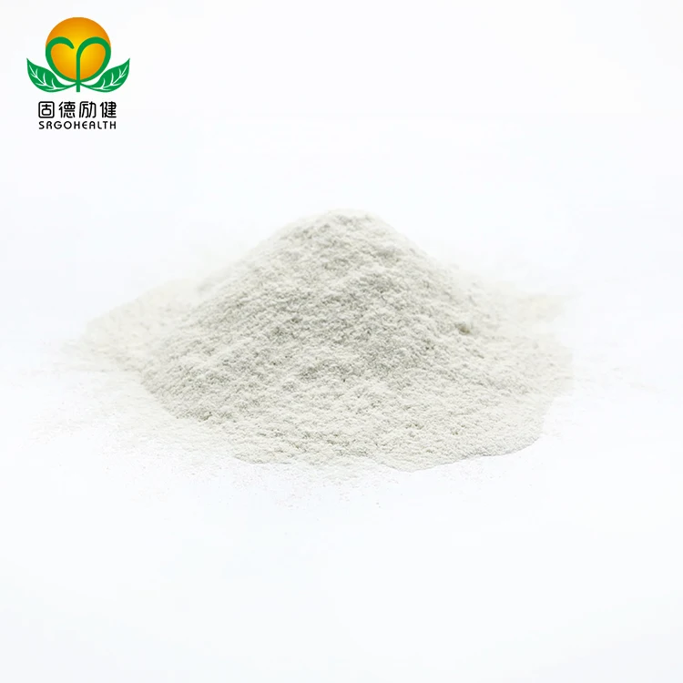 Bulk Wholesale Supply Top-quality Organic Rice Protein