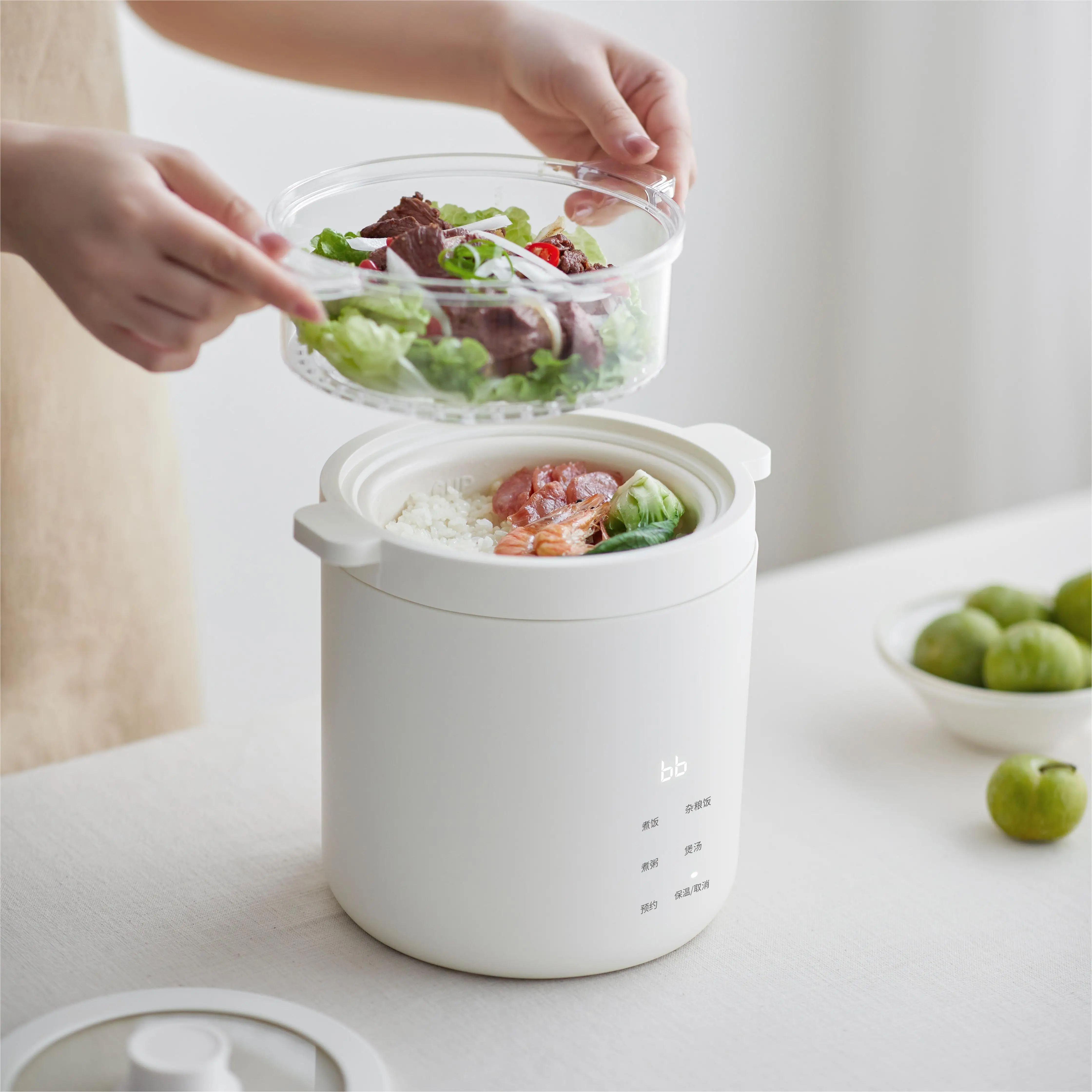 Multi-Function Rice Soup Pasta Porridge Cooker Mini Electric Hot Pot Ramen Cooker Non-Stick Pot with Steamer