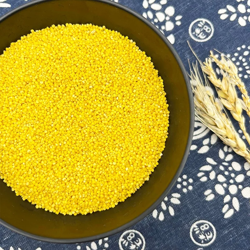 China origin Low Price bulk hulled yellow pearl millet Organic Yellow Millet for porridge