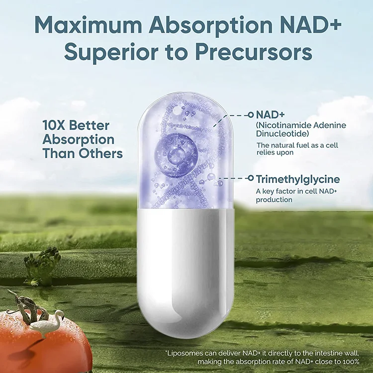 Supplements NAD3 NAD Booster  Extra Value Size 4 Month Supply Clinically Proven  Independently Tested Metabolic Repair