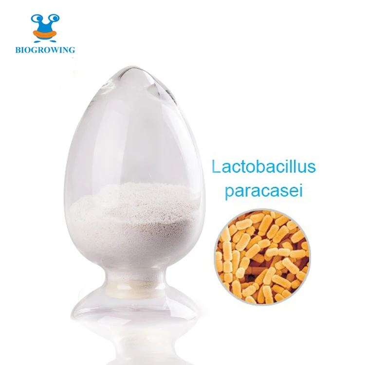 Пробиотики в порошке, 400 миллиардов CFU/g, лактобацилл паракасей