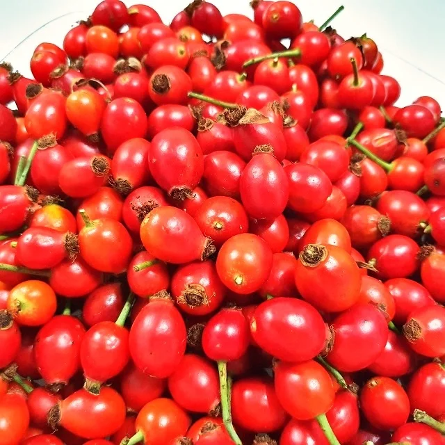 
Cold Pressed Rosehip Oil 100 % Pure from Turkey 