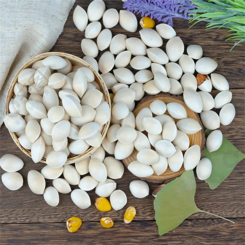 Wholesale   Best Grade Quality High Quality GINKGO NUTS Available For Sale