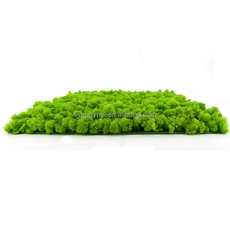 New Arrival 2021 DIY handmade reindeer moss wall Soft and Fresh 50cm grass green preserved moss panel