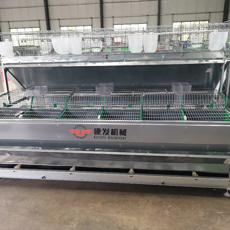 Commercial Rabbit Farm Rearing European-Style Rabbit Cage
