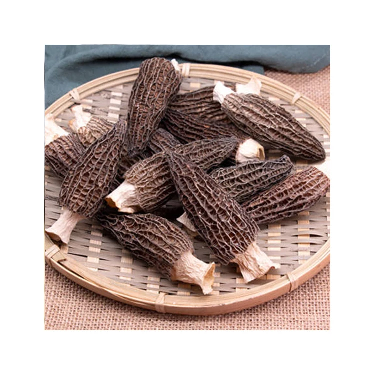 Wholesale Rich In Nutrients High Quality Natural Morel Mushrooms Sell Dried Morel Mushroom  Whole Dried