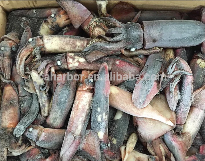 Good taste squid frozen giant squid black squid