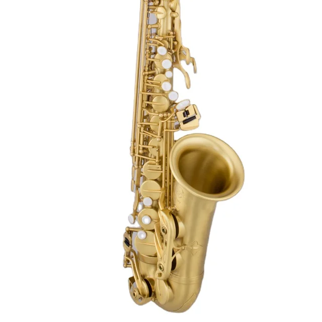 Wholesale Professional Musical Instrument brass color Alto  Saxophone For Concert Performance Cheap Oem