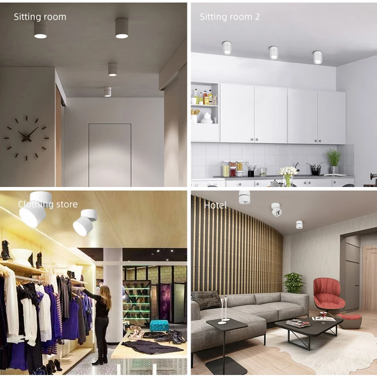 Adjustable downlight Indoor Surface Mounted Ceiling 10w 20w Cob Round Led Down Light