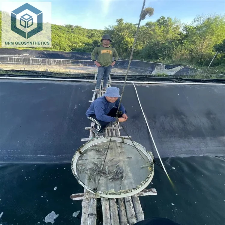 Fish Farm Pond Liner and Underlay HDPE Geomembrane for Aquaculture