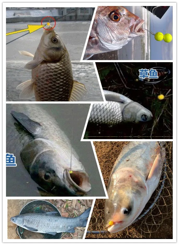 Popular Small Soft Artificial Floating Fishing Bead Bait