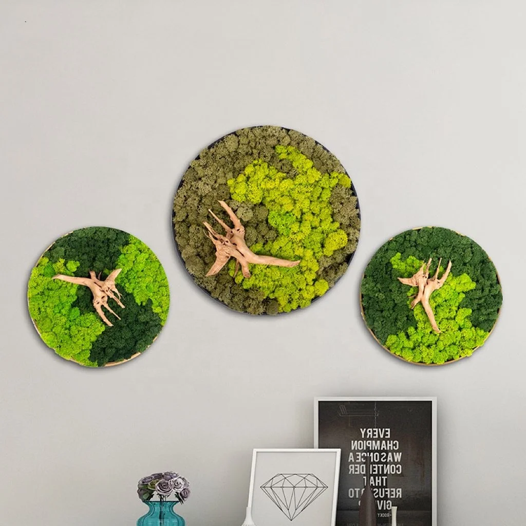 Yunnan Factory Wholesale Natural Bulk Reindeer Musgo Plants Preserved Moss Panel Stabilized Moss Art Wall Decoration