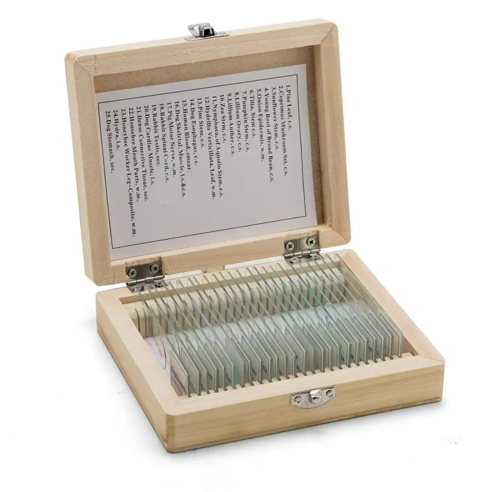  25pcs Hot Sale Mixed Glass Prepared Microscope Slides Set On Plant Animal