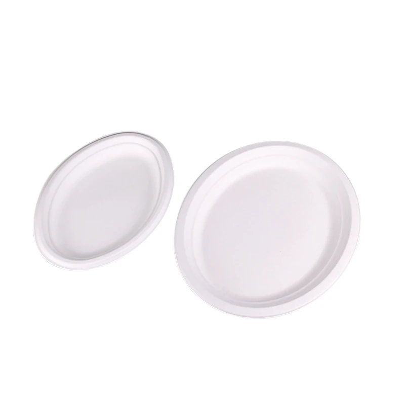 Bio Compostable Degradable Tableware Disposable Sugarcane Bassage Paper Pulp Plate