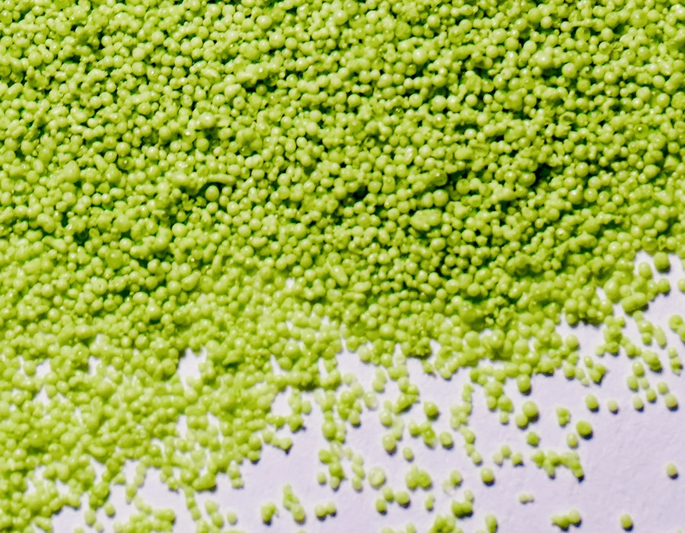 Seaweed Extract Fertilizer Suppliers Organic water solubl Green micro particle Seaweed Biostimulant Fertilizer