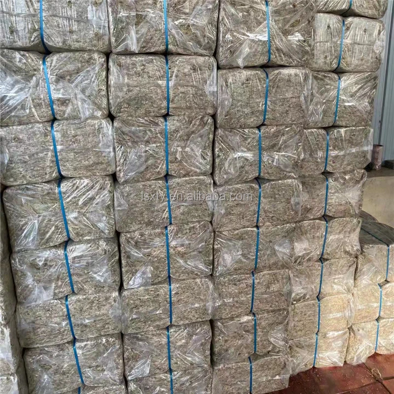 Cheap Natural Dried moss for Orchid Carnivorous plant and Micro landscape plants