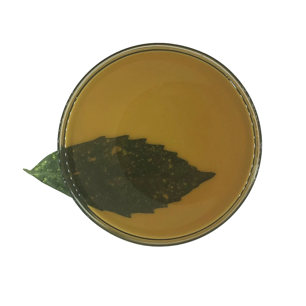 Trichoderma Viride Enzyme Cellulase Enzyme Industrial