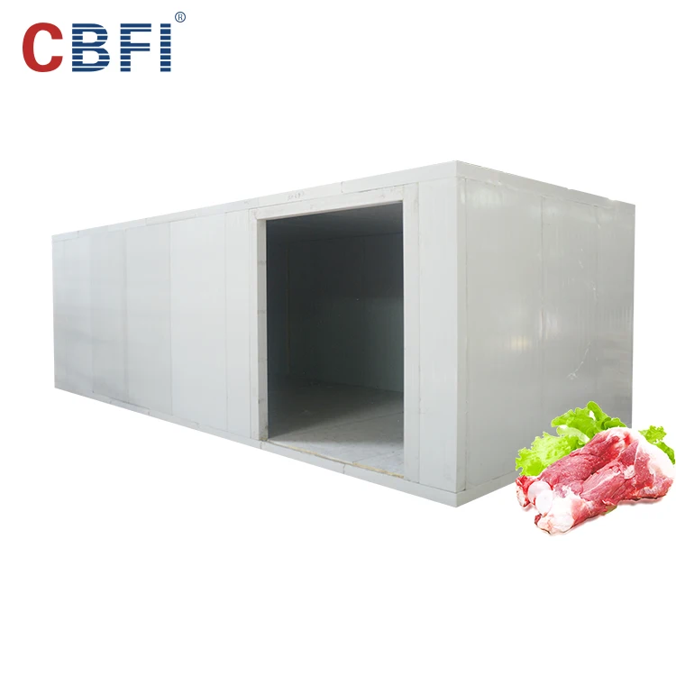 Coldroom Refrigerated Warehouse Room For Fruits And Vegetables/ New Condition Cold Room
