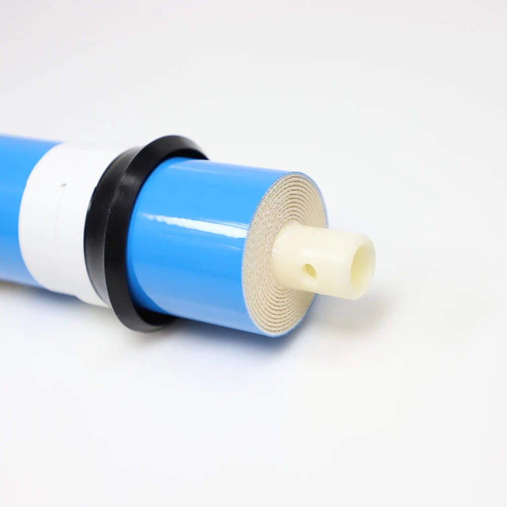 75 GPD Domestic Electric 24 V Stainless Steel RO Booster Pump for Reverse Osmosis Membrane