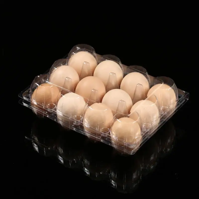 Plastic clear bulk empty chicken egg container egg packing trays for 12 15 chicken eggs