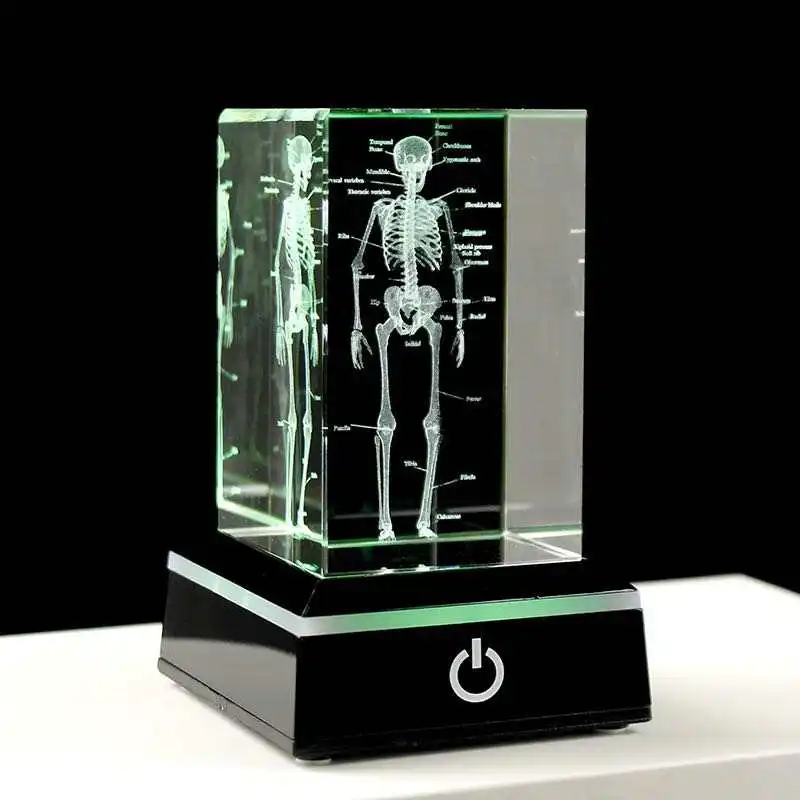 Hot Sales Led Crystal Table Lamp With Tooth Skulls Etched 3D Carved Crystal Block RGB Night Light Gifts For Dentist And Doctors
