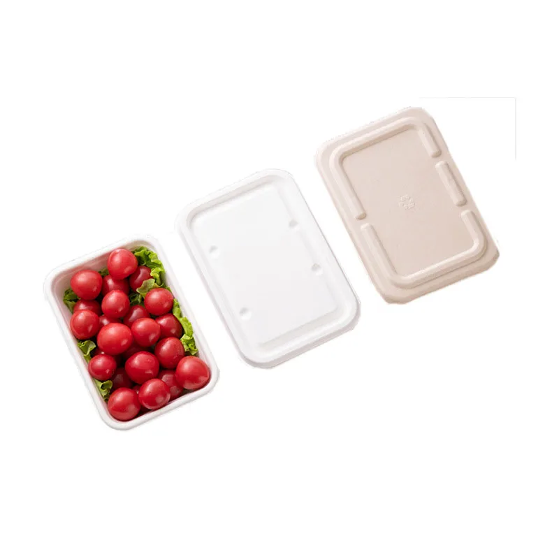 Disposable Biodegradable Oill Proof Tableware Sugarcane Bagasse Sauce Paper Plates Dishes