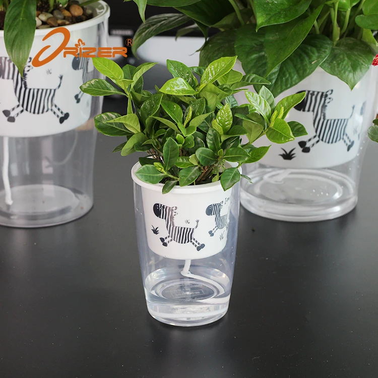 Hot Selling Unique  Indoor Decorative  Flowers  Pot