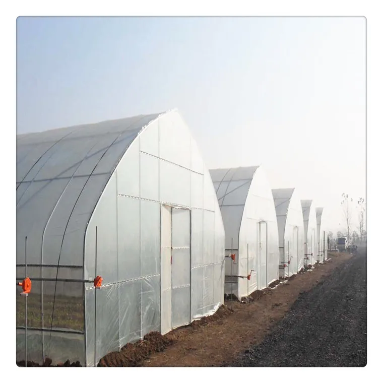 Sell Well New Type Smart Galvanized Steel Frame Tunnel Poly Film Agricultural Greenhouses