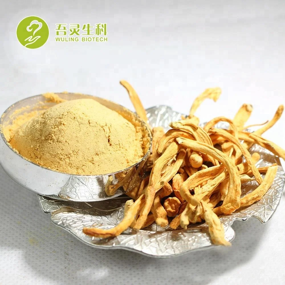 Lingzhi Cordyceps Chaga экстракт био травы Reishi экстракт мгновенного кофе гриб 3,5 г * 30 Саше/коробка для черного кофе 0,0035 кг