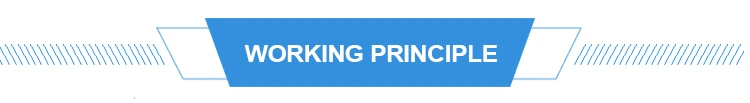 principle.jpg