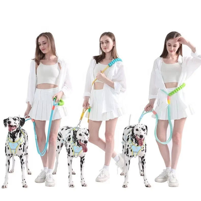 Multi-color Thick Outdoor Double Hook Walking Dog Lead Rope Comfortable Padded Handle Dog Leash with Sponge Handle for Two Dogs