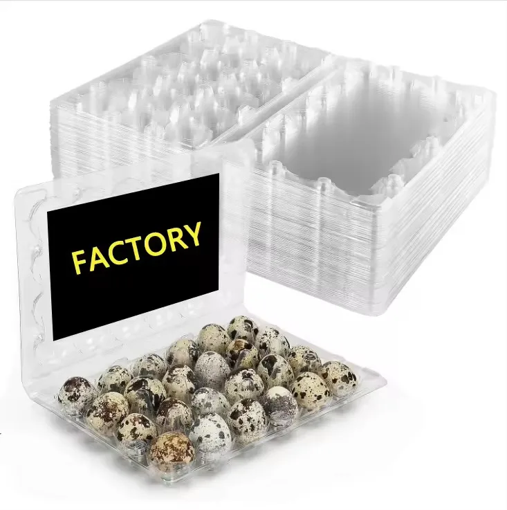 Wholesale Quail Eggs Boxes 24 Quail Egg Packaging Plastic PET Bird Quail Egg Tray