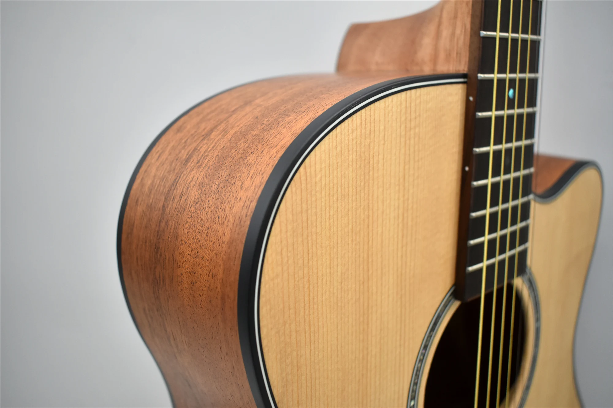 beginner student guitar