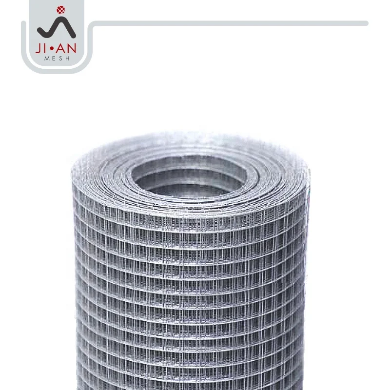 Good quality 304 welded wire mesh roll fence mesh wire roll 2x1 for gardon fencing stainless steel welded wire mesh