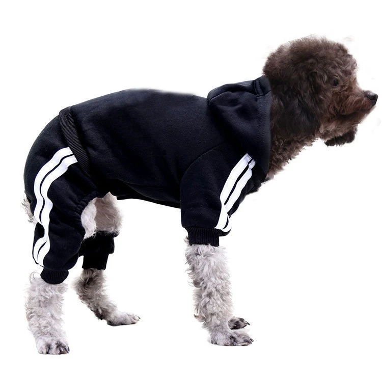 Modern Pet Apparel Winter Luxury Designer Dog Clothes Leisure Manufacturer Fashions Designer Dog Hoodie