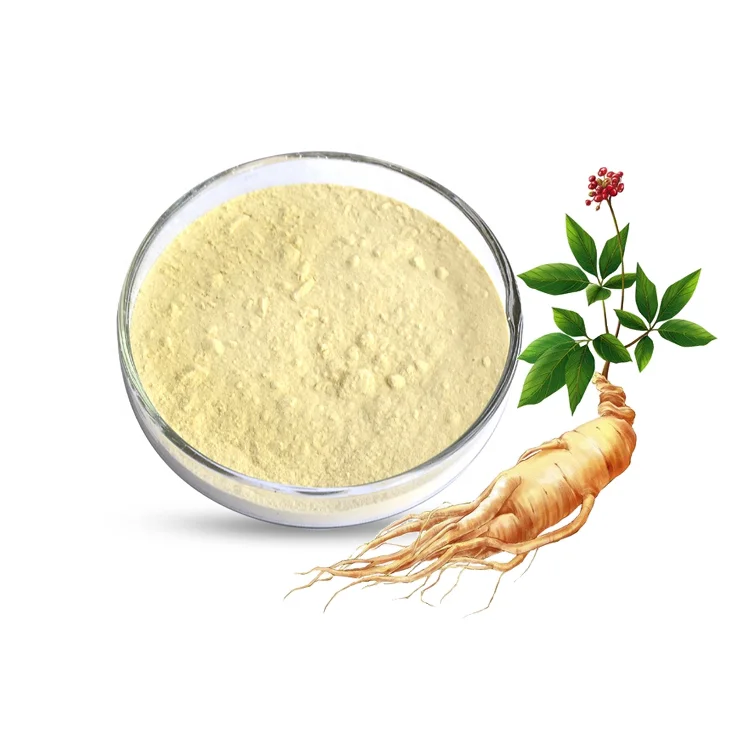 Dried Herbal Root Panax Ginseng Extract Powder