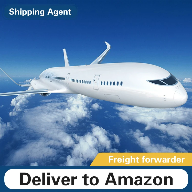 DDP Airfreight FBA amazon shipping Logistics door to door to latvia/Netherlands/Norway/Romania/Serbia/Slovakia/Slovenia/Sweden