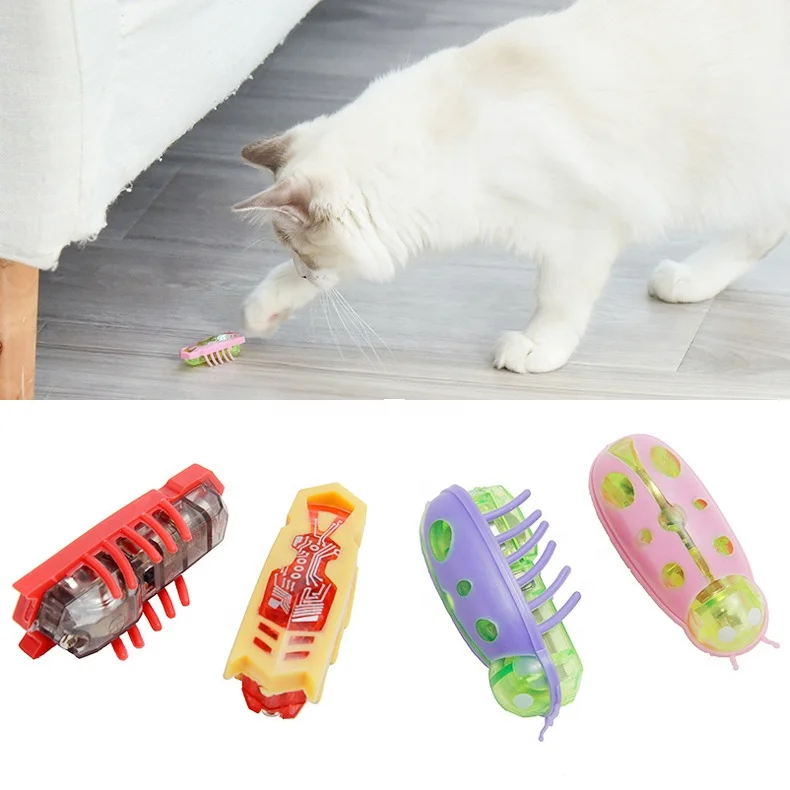 plastic durable battery power electronic ladybird worm insect mouse shape mini pet indoor entertaining cat interactive smart toy