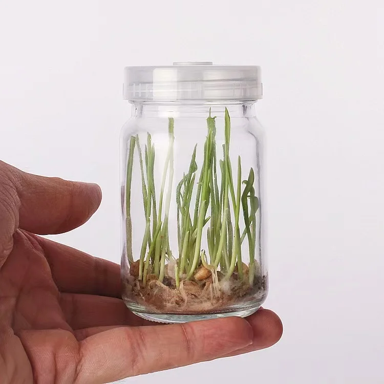 4oz 100ml slim tissue culture vessel glass bottle jars for plant with breathable caps