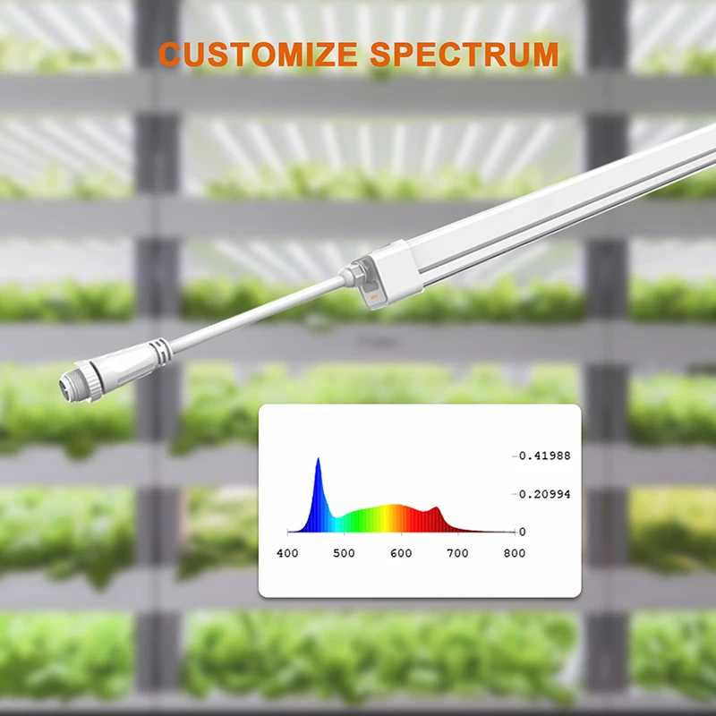 Vertical Farm Equipment Aeroponics System Hydroponic Grow Light Full Spectrum Led Grow Lights for Indoor Plants