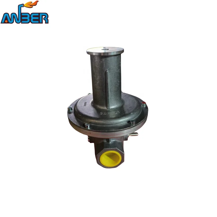 2024 KromSchroder 304 stainless steel  German valve