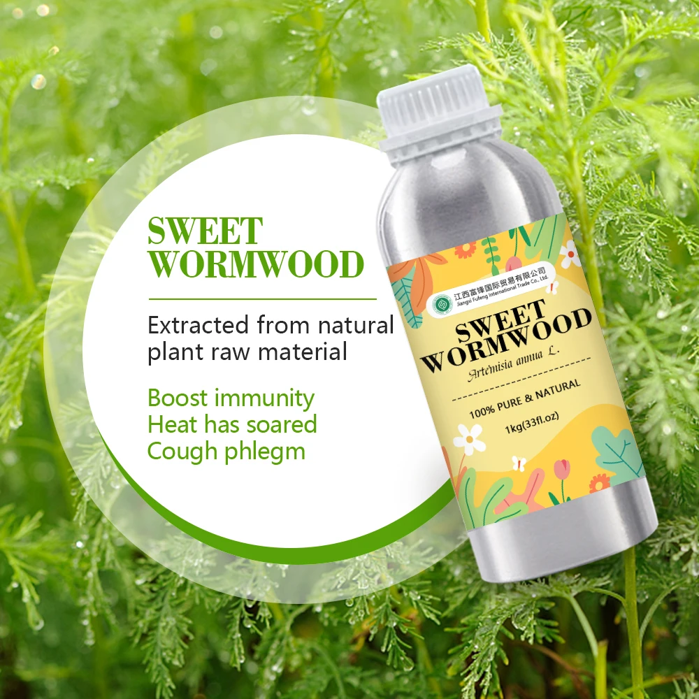 Sweet Wormwood Essential Oil Organic For Diffuser  - 100% Pure Natural Artemisia annua Leaf Steam Distilled | Bulk Price 1kg