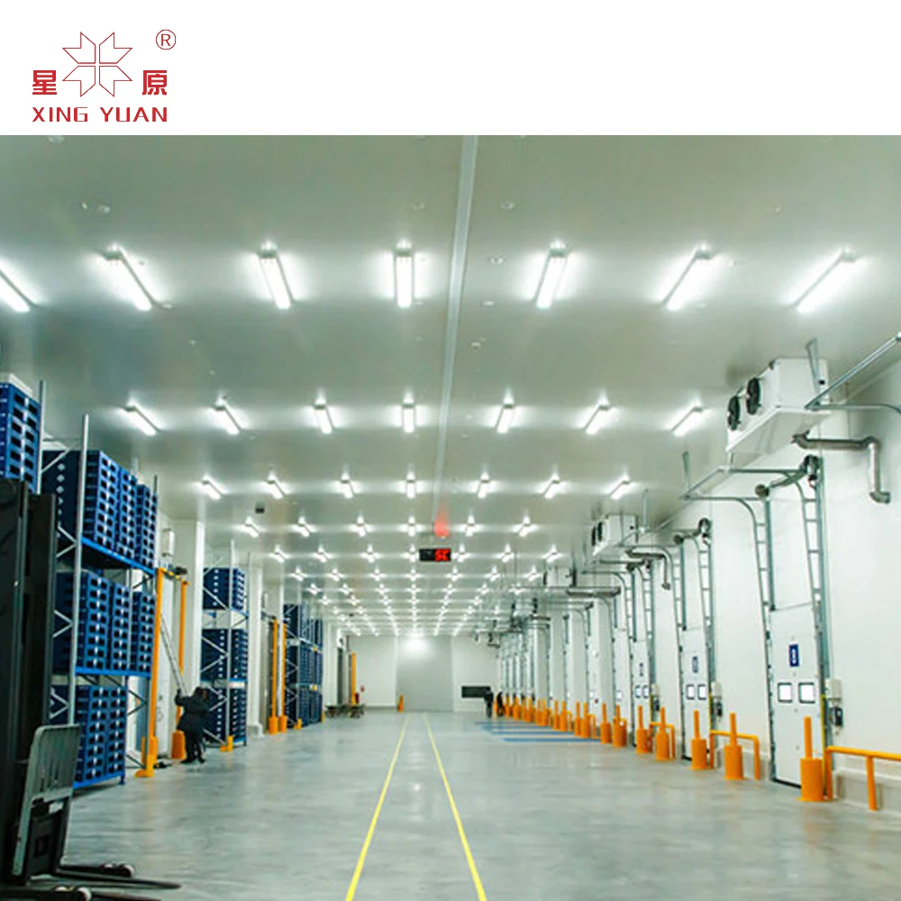 Manufactory wholesale meat food cold chamber room customized cold room storage and freezer room refrig