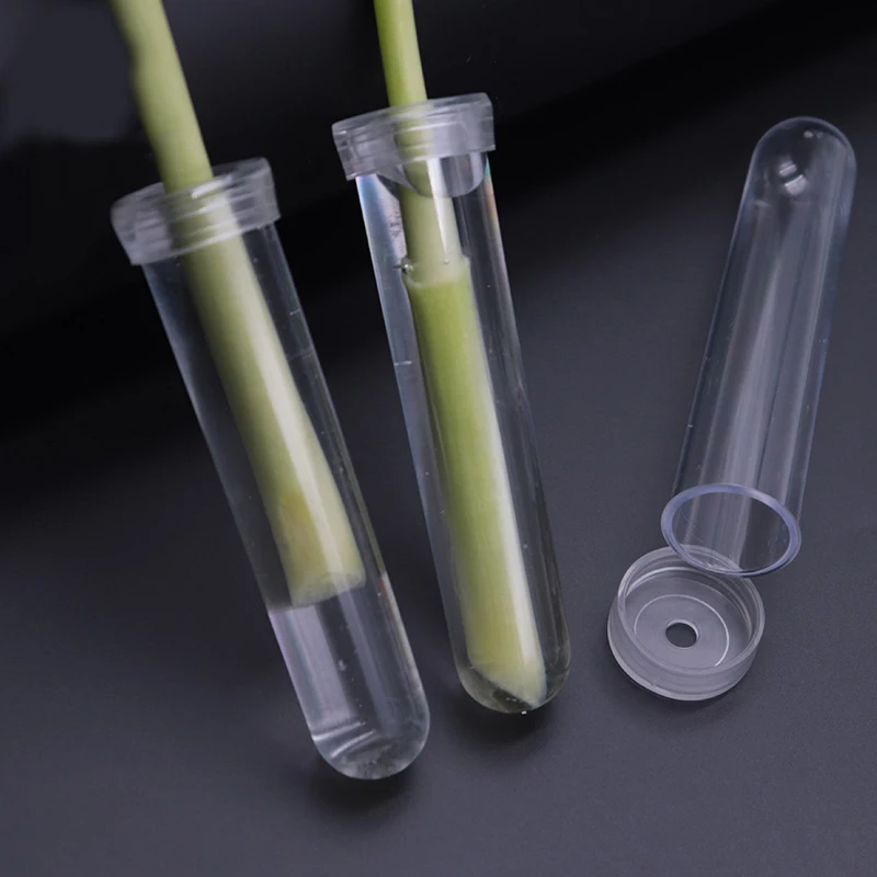 Flower Floristry Plant Cultivation Tool Material Crystal Flower Tube