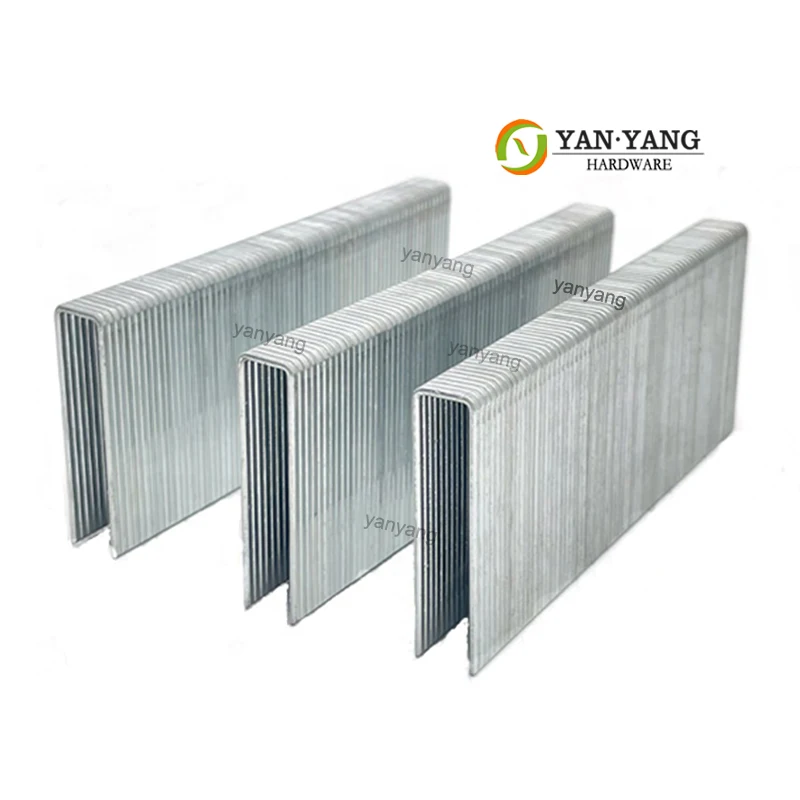 Yanyang Factory Price Produced Sofa Nails 7110 7112 Upholstery Galvanized Fine Wire Staples 7116 Furniture Staples Pins