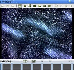 DBMVV5000CL-500P 5MP 2K HD 600X USB digital Polarizing Microscope for  Studying Anisotropic Materials