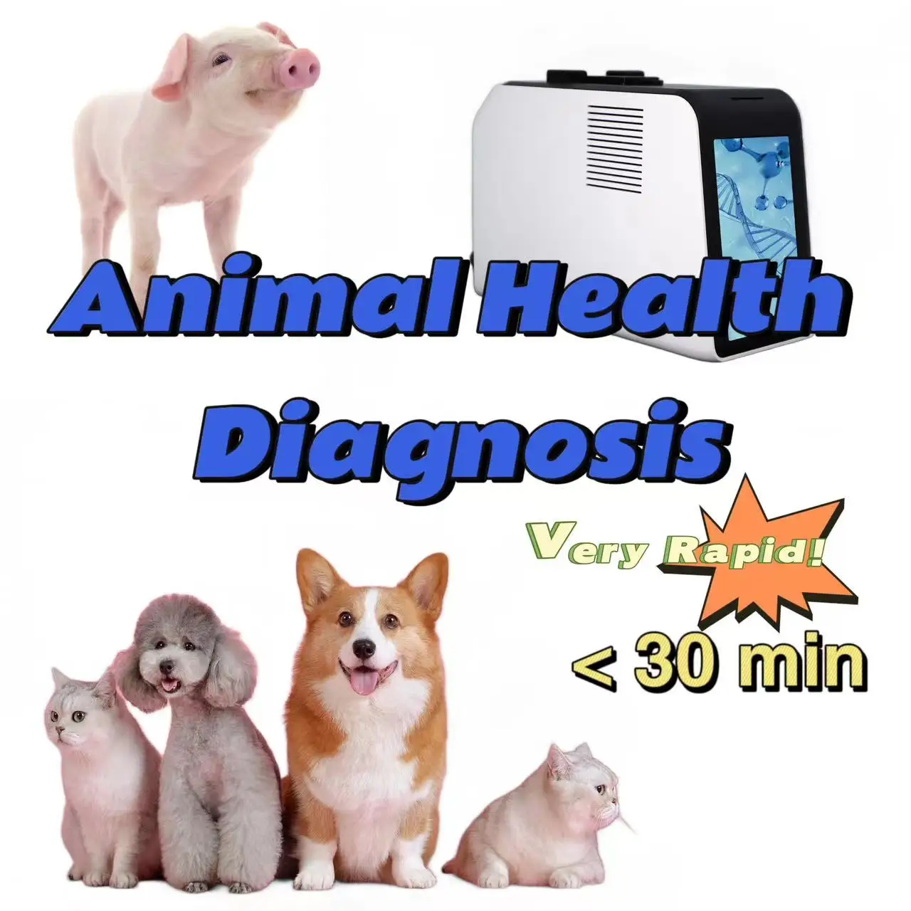 Gene expert machine Vet/Pet/Aminal Poct digital Rt Pcr Machine Veterinary