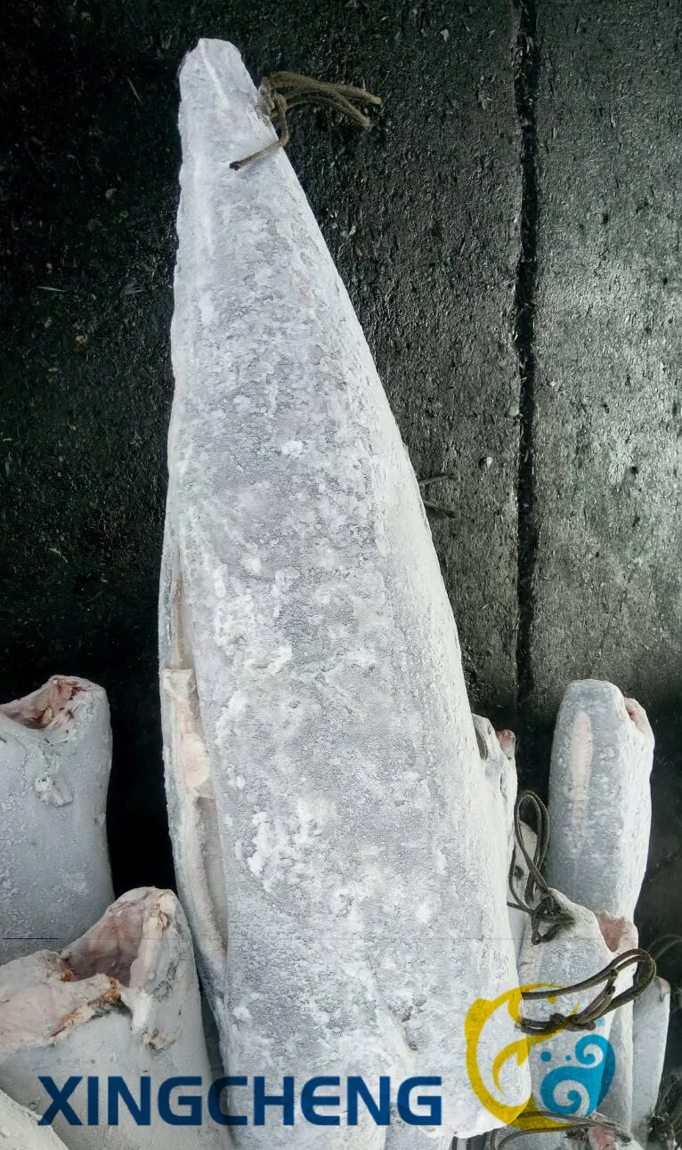 
Seafrozen oil fish HGT(Lepidocybium flavobrunneum) 